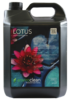 Lotus (5L)